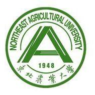 九游会官网登录入口网页